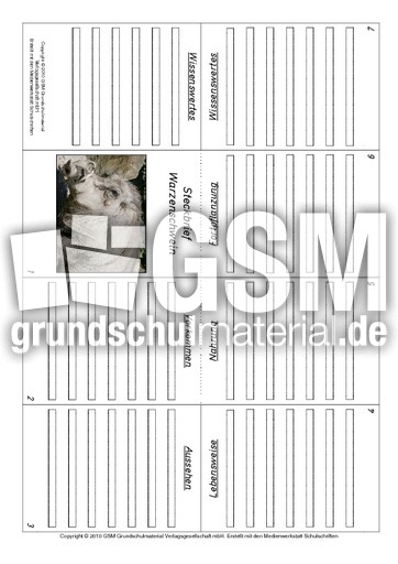 Faltbuch-Warzenschwein.pdf